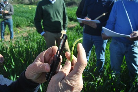 La jornada de campo y formación reúne a expertos y agricultores centrados en los cereales y la producción nacional
