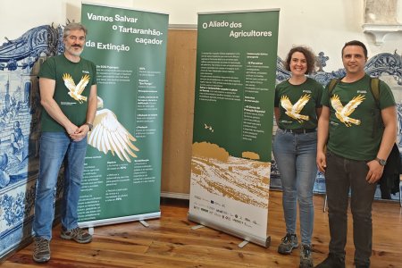 LIFE SOS Pygargus participa en INTER LIFE PT 2026 y en el cierre del proyecto LIFE CAP PT II