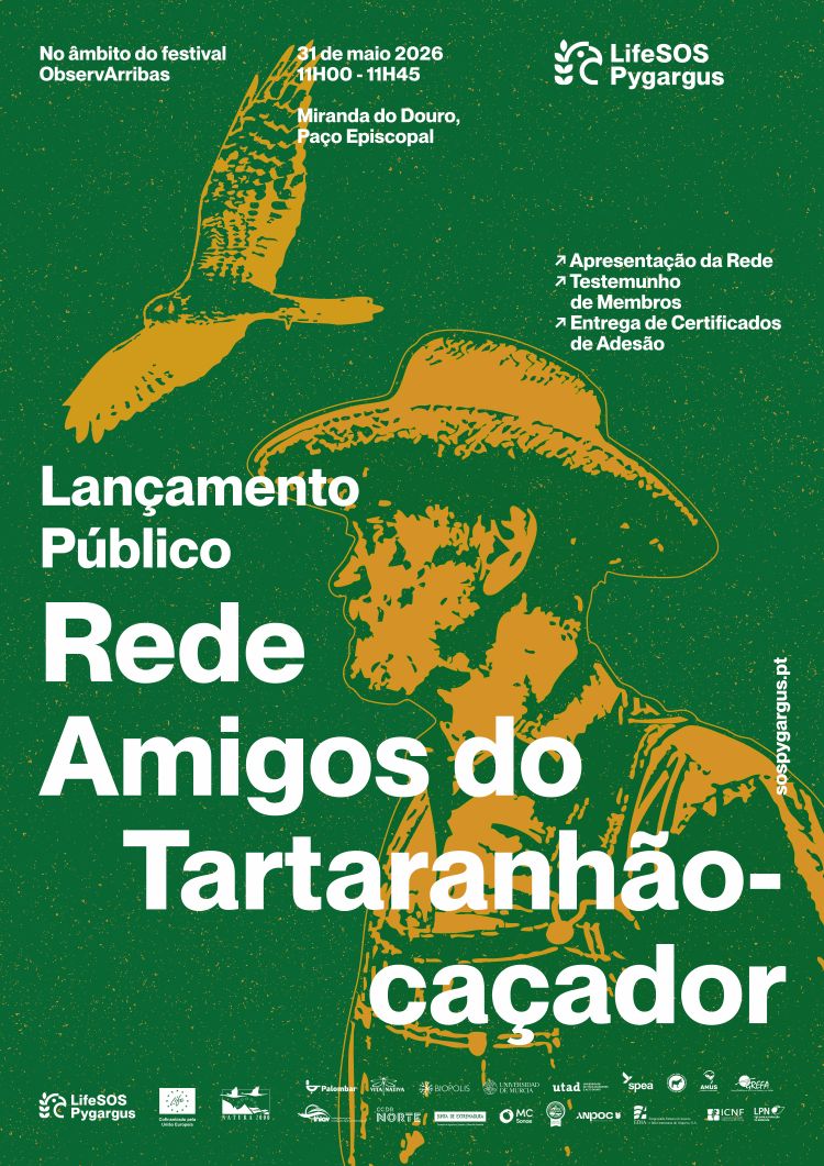 LANZAMIENTO DE LA RED 