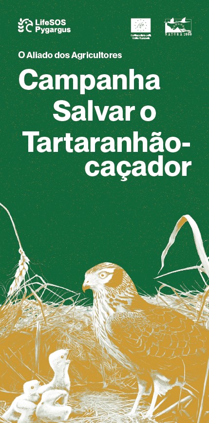 Campanha 