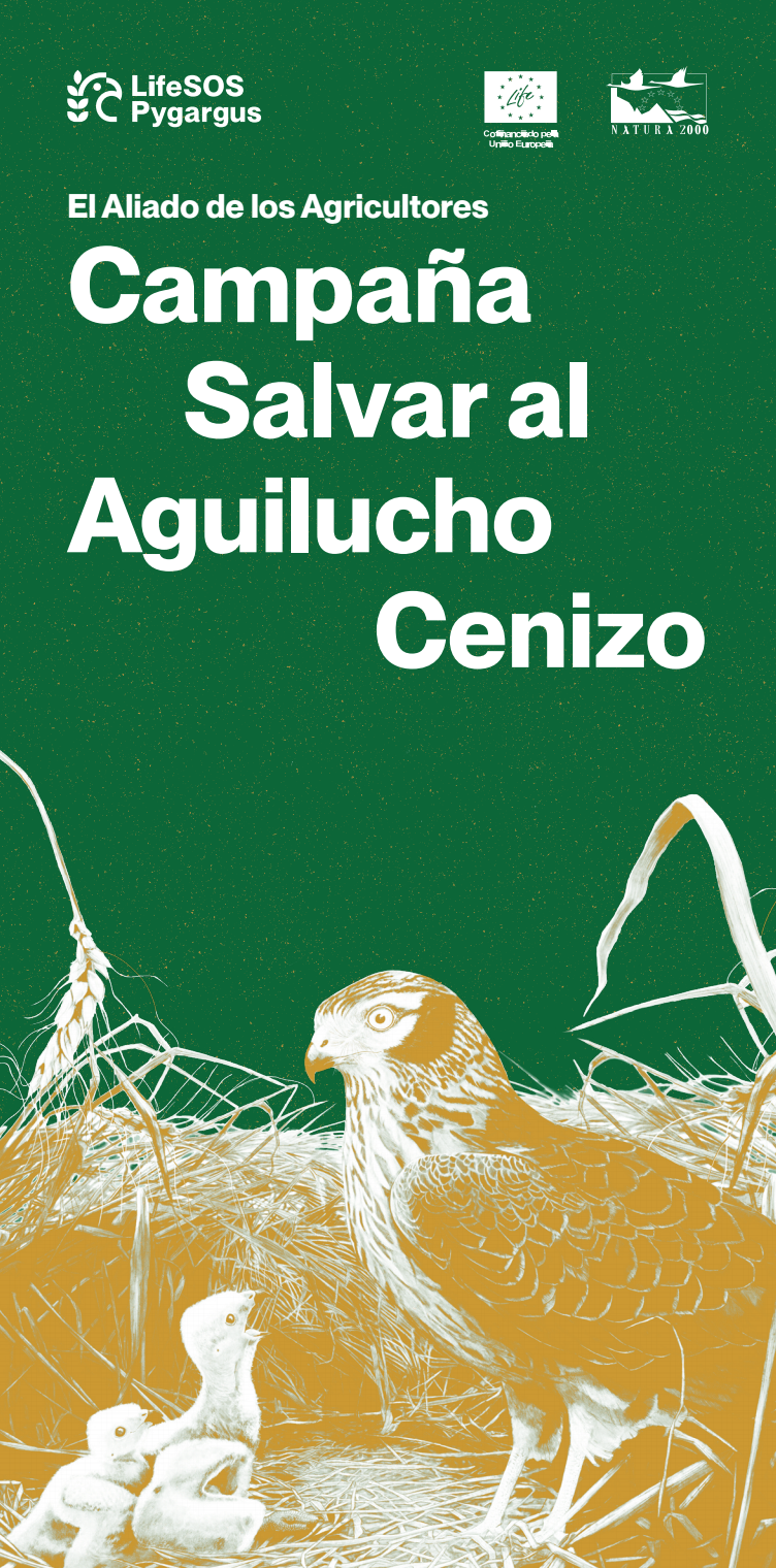 Campanha 