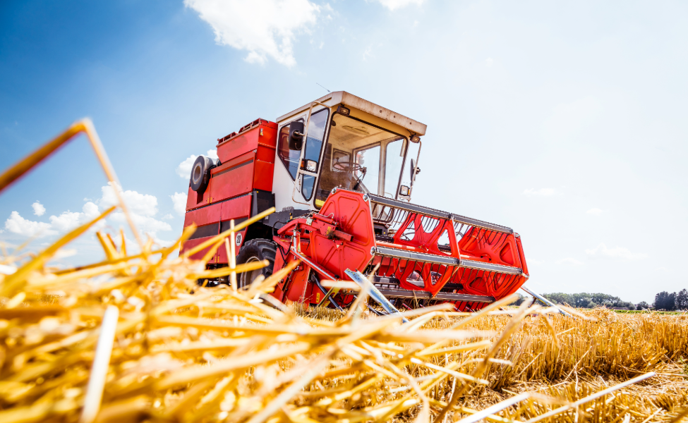 SIEGA: PRECAUCIONES A TOMAR