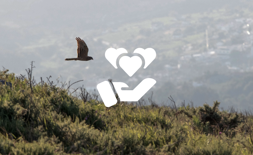 DIFUSIÓN Y RECONOCIMIENTO