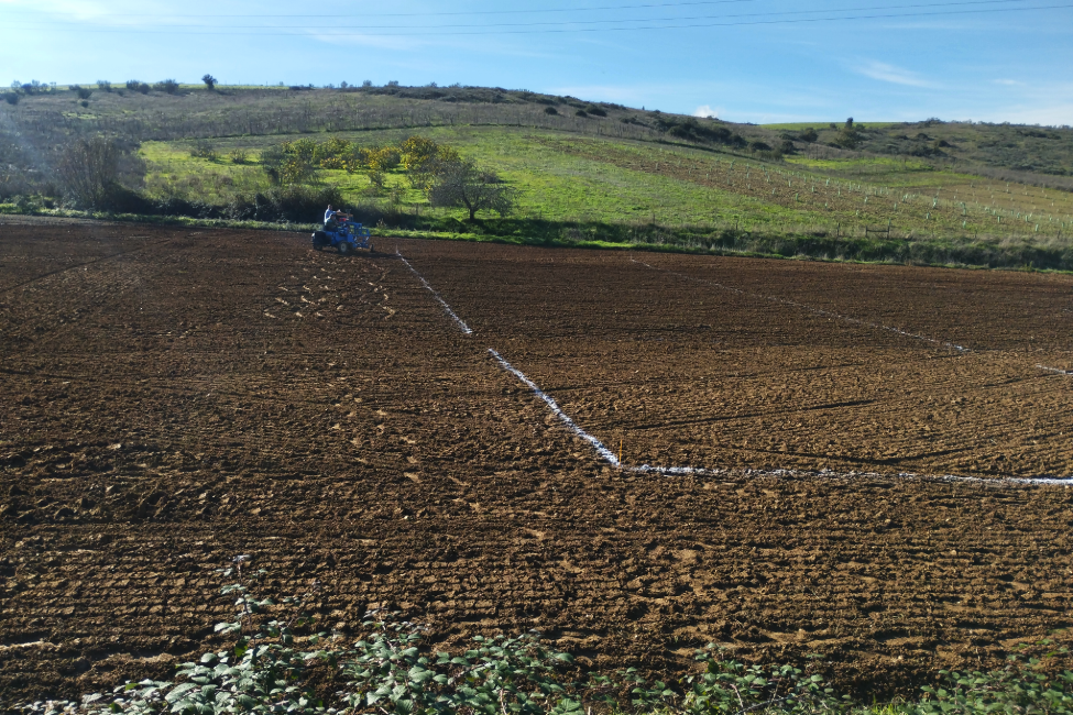 ¿DÓNDE SE DESARROLLAN?