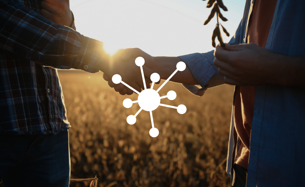 RED MULTIDISCIPLINAR