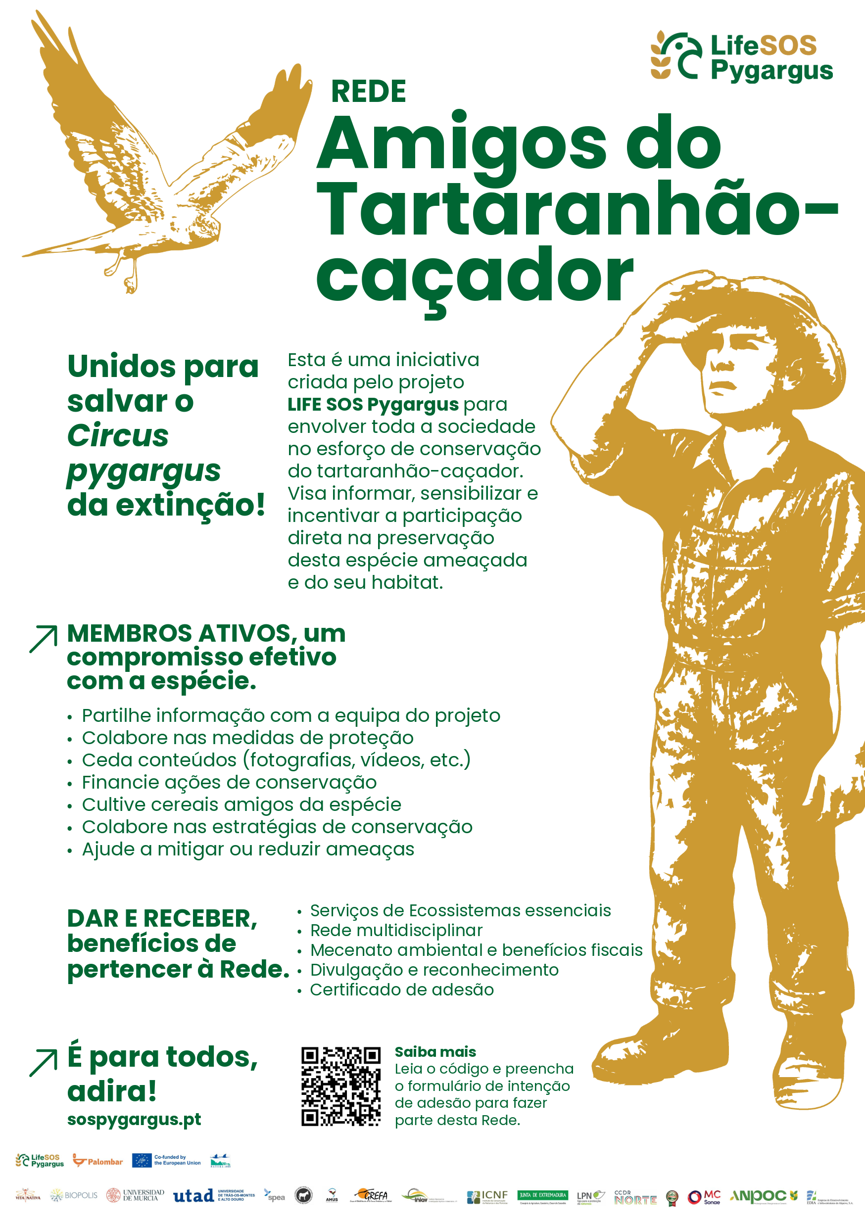 Rede 