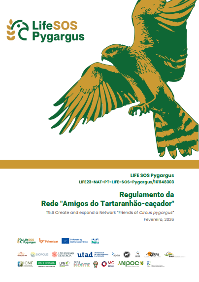 Regulamento da Rede