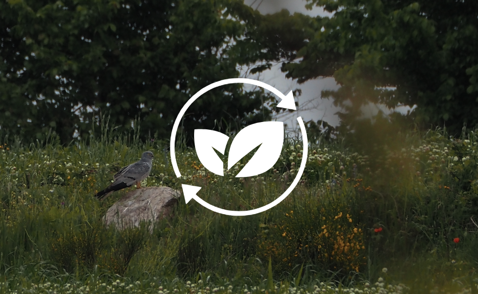 SERVICIOS ECOSISTÉMICOS