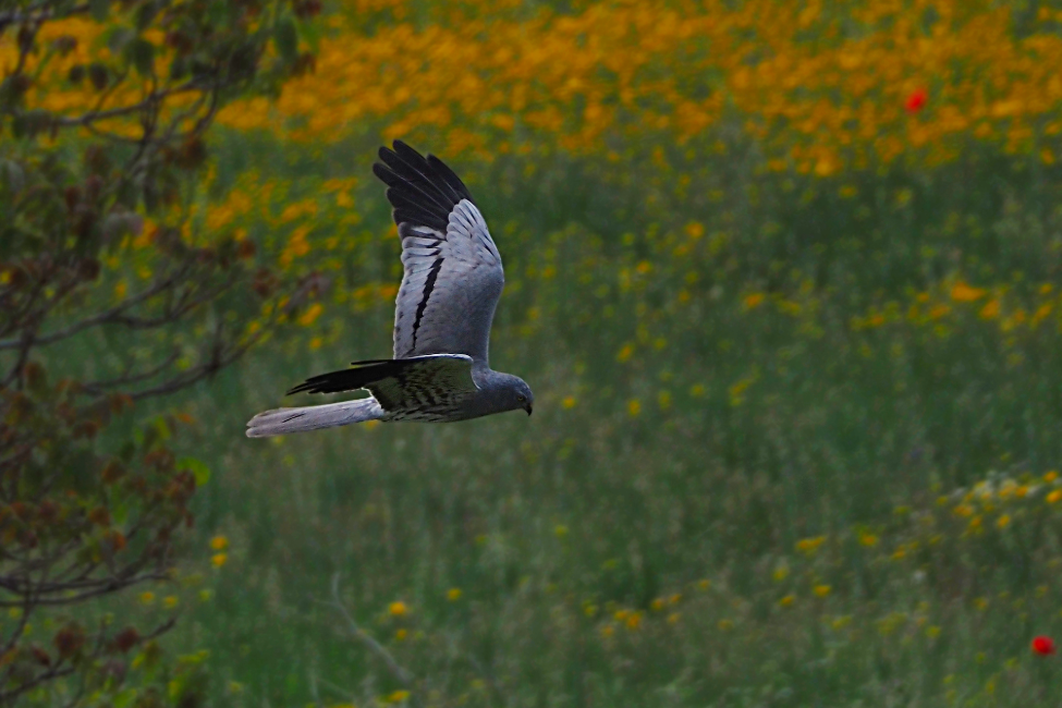 SOSTENIBILIDAD, REPLICACIÓN Y EXPLOTACIÓN DE LOS RESULTADOS