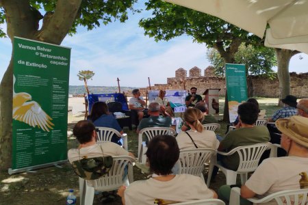 «Amigos del Aguilucho cenizo»: se pone en marcha la red colaborativa para salvar a esta especie de la extinción